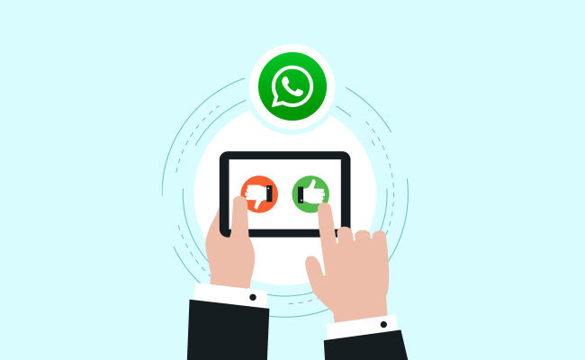 Whatsapp Communications